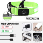Light Up Dog Collar - Dog Collar Lights For The Dark Night, Adjustable Flashing Dog Collar Rechargeable, LED Dog Collar With 3 Flash Modes For Large, Medium And Small Dogs--Size L - Image 6