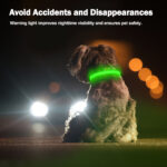 Light Up Dog Collar - Dog Collar Lights For The Dark Night, Adjustable Flashing Dog Collar Rechargeable, LED Dog Collar With 3 Flash Modes For Large, Medium And Small Dogs--Size L - Image 4