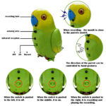 Talking And Singing Toy Parrot For Kids - Image 4