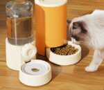 Cat Water Dispenser, Cat Food Automatic Feeder, Pet Dog Drinking Bowl - Image 6